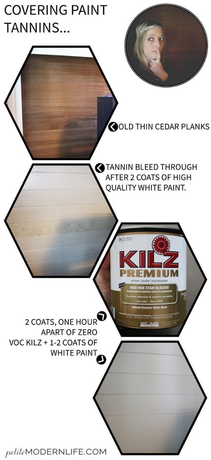 Painting over old raw wood? Don't waste your good paint! Use these ZERO VOC tannin priming tips!