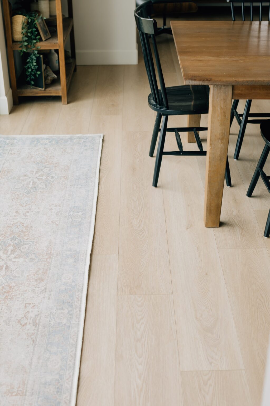 Paradigm conquest Estate floors Petite Modern Life