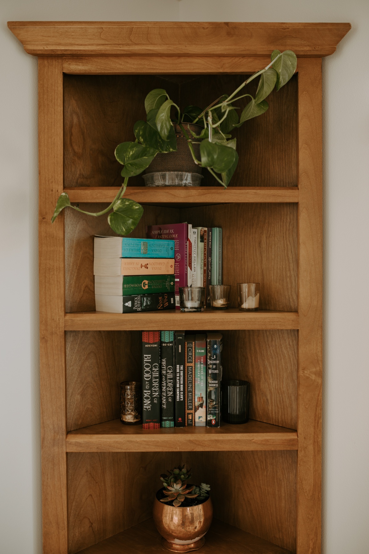 tall wood corner bookshelf with walmart plants and books